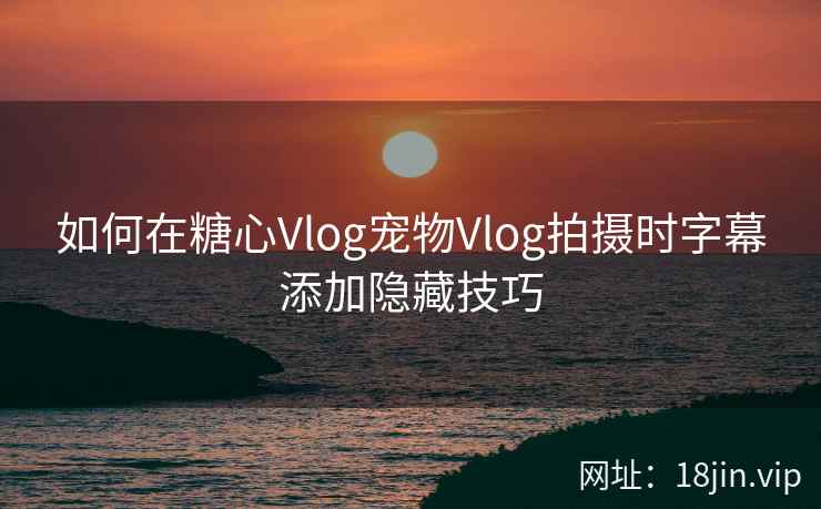 如何在糖心Vlog宠物Vlog拍摄时字幕添加隐藏技巧