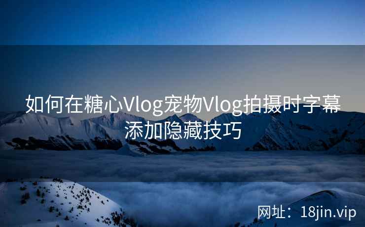 如何在糖心Vlog宠物Vlog拍摄时字幕添加隐藏技巧