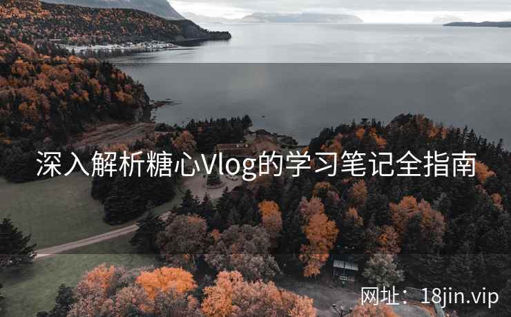 深入解析糖心Vlog的学习笔记全指南