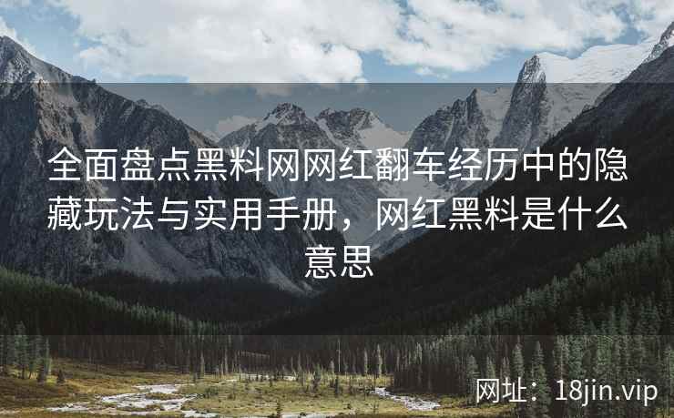 全面盘点黑料网网红翻车经历中的隐藏玩法与实用手册，网红黑料是什么意思