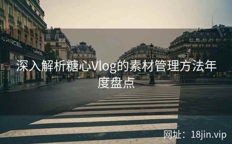 深入解析糖心Vlog的素材管理方法年度盘点