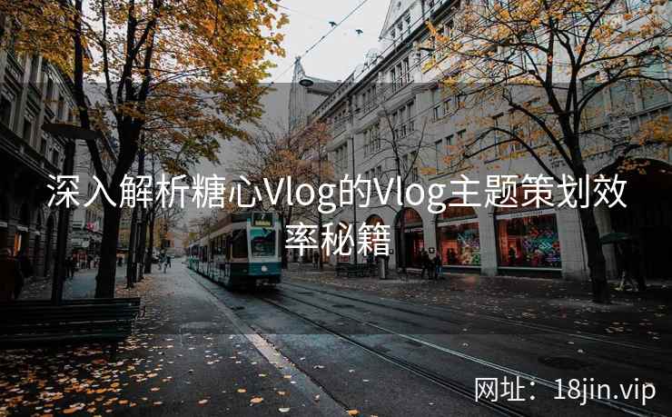 深入解析糖心Vlog的Vlog主题策划效率秘籍  第1张