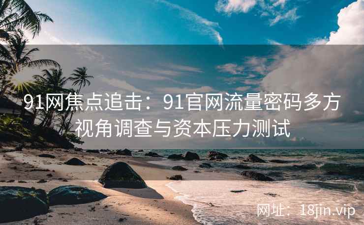 91网焦点追击：91官网流量密码多方视角调查与资本压力测试