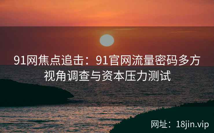 91网焦点追击：91官网流量密码多方视角调查与资本压力测试
