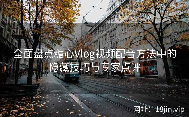 全面盘点糖心Vlog视频配音方法中的隐藏技巧与专家点评