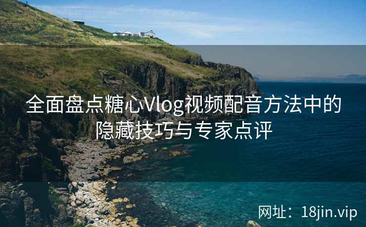全面盘点糖心Vlog视频配音方法中的隐藏技巧与专家点评